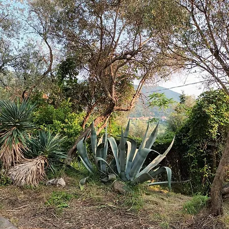 Casa Luigia Hillside Getaway * Bracco