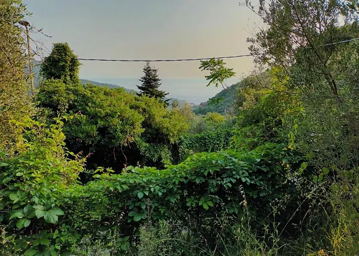 Casa Luigia Hillside Getaway Lägenhet *