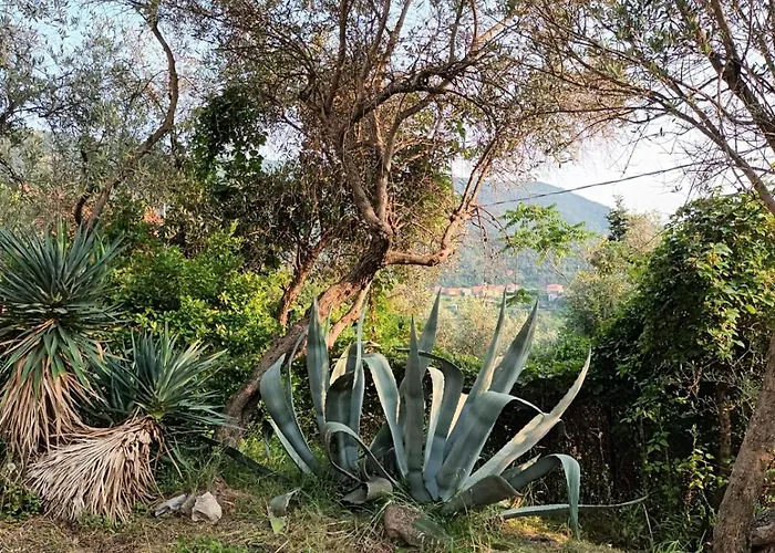 Casa Luigia Hillside Getaway * Bracco