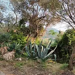 Casa Luigia Hillside Getaway * Bracco